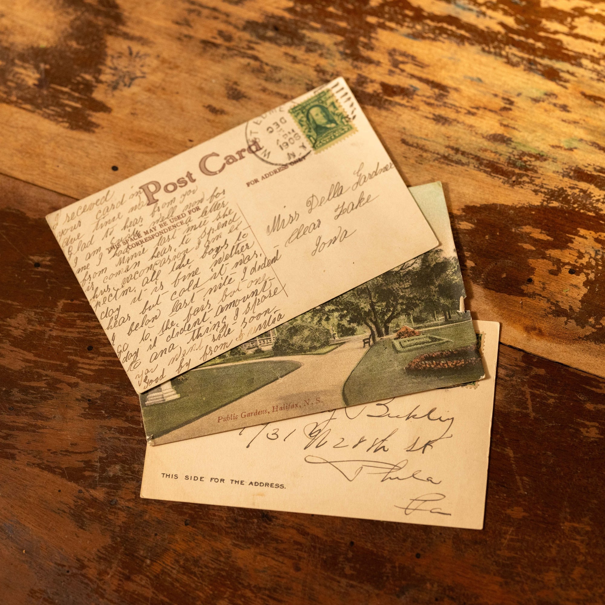 Antique American Postcards with Script - Novelbookstore.co