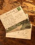 Antique American Postcards with Script - Novelbookstore.co