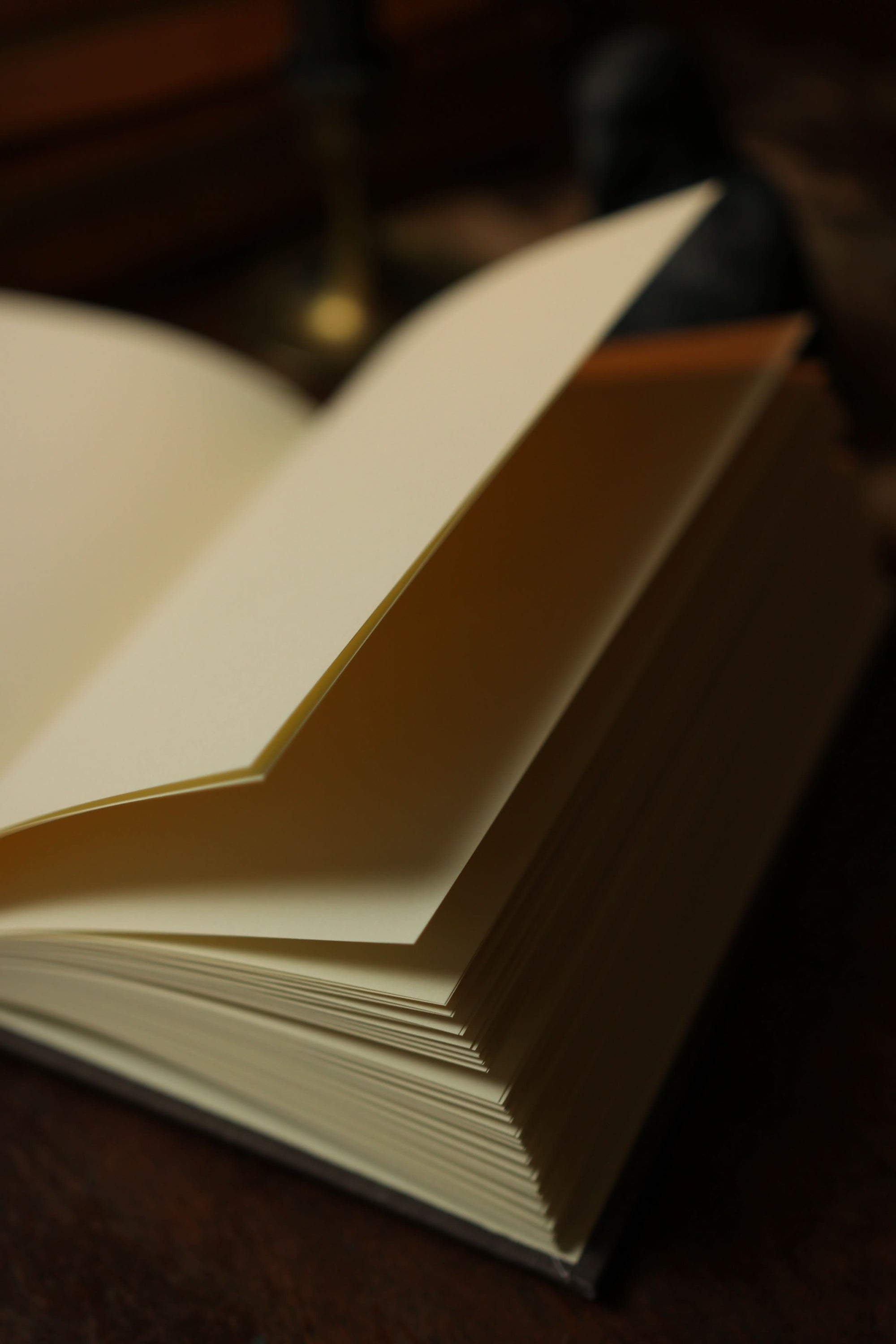 *The Complete Poetical Works of Edgar Allan Poe 1884 Book Journal - Novelbookstore.co