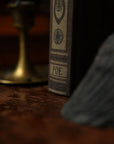 *The Complete Poetical Works of Edgar Allan Poe 1884 Book Journal - Novelbookstore.co
