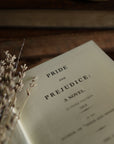 *Pride & Prejudice by Jane Austen 1813 Book Journal - Novelbookstore.co