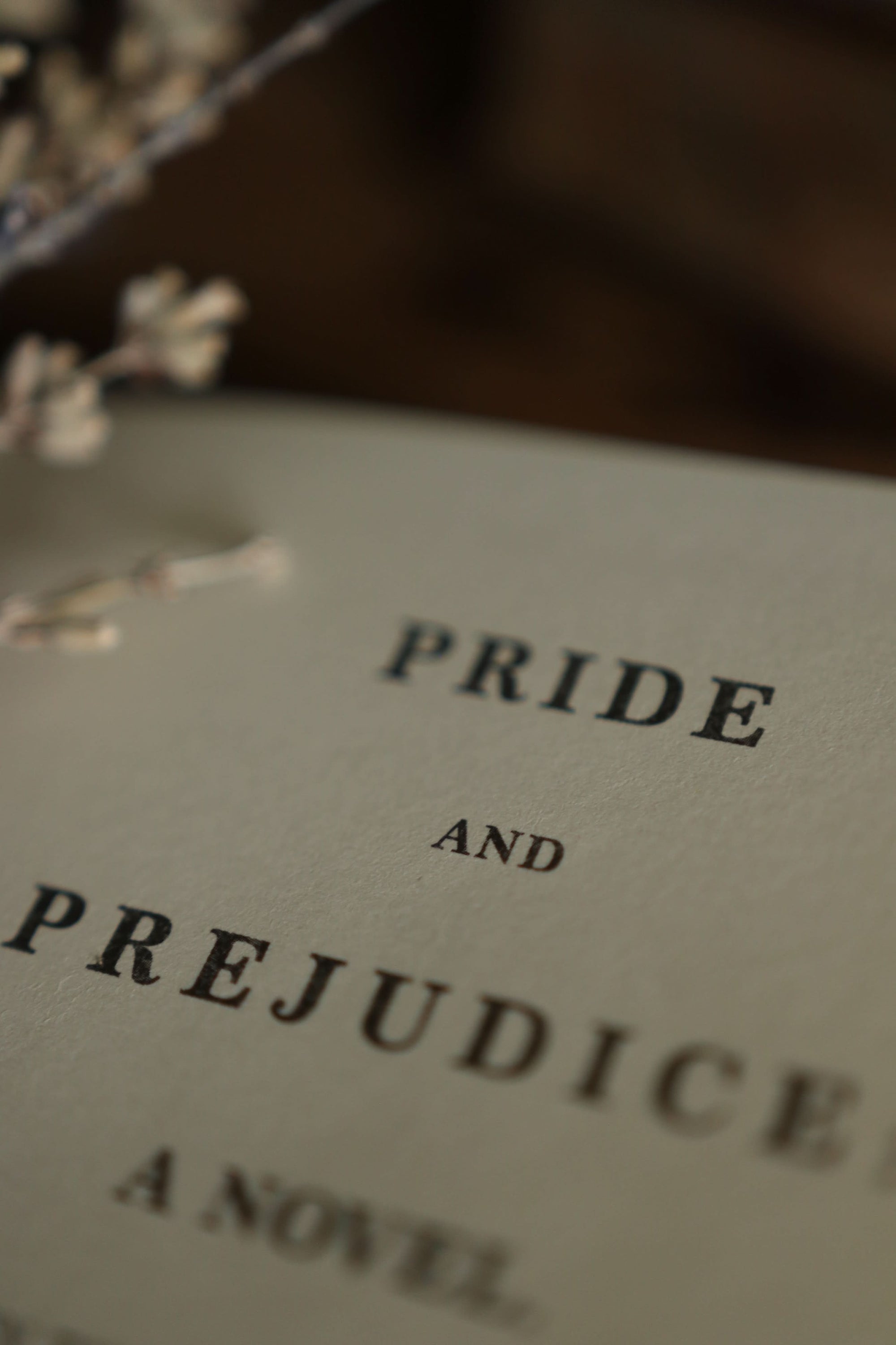 *Pride & Prejudice by Jane Austen 1813 Book Journal - Novelbookstore.co