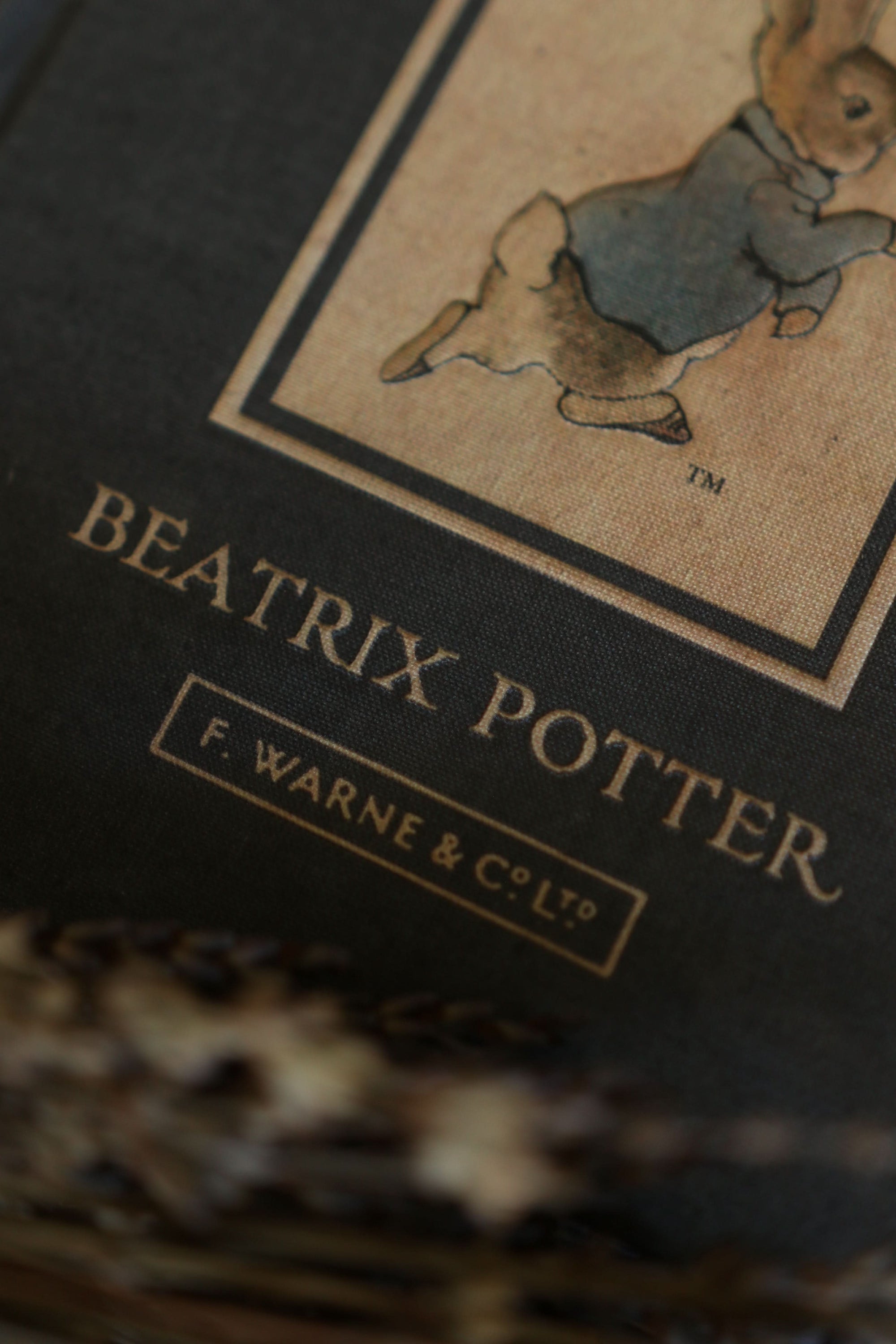 *The Tale of Peter Rabbit by Beatrix Potter 1902 Book Journal - Novelbookstore.co