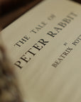 *The Tale of Peter Rabbit by Beatrix Potter 1902 Book Journal