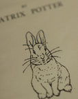 *The Tale of Peter Rabbit by Beatrix Potter 1902 Book Journal - Novelbookstore.co