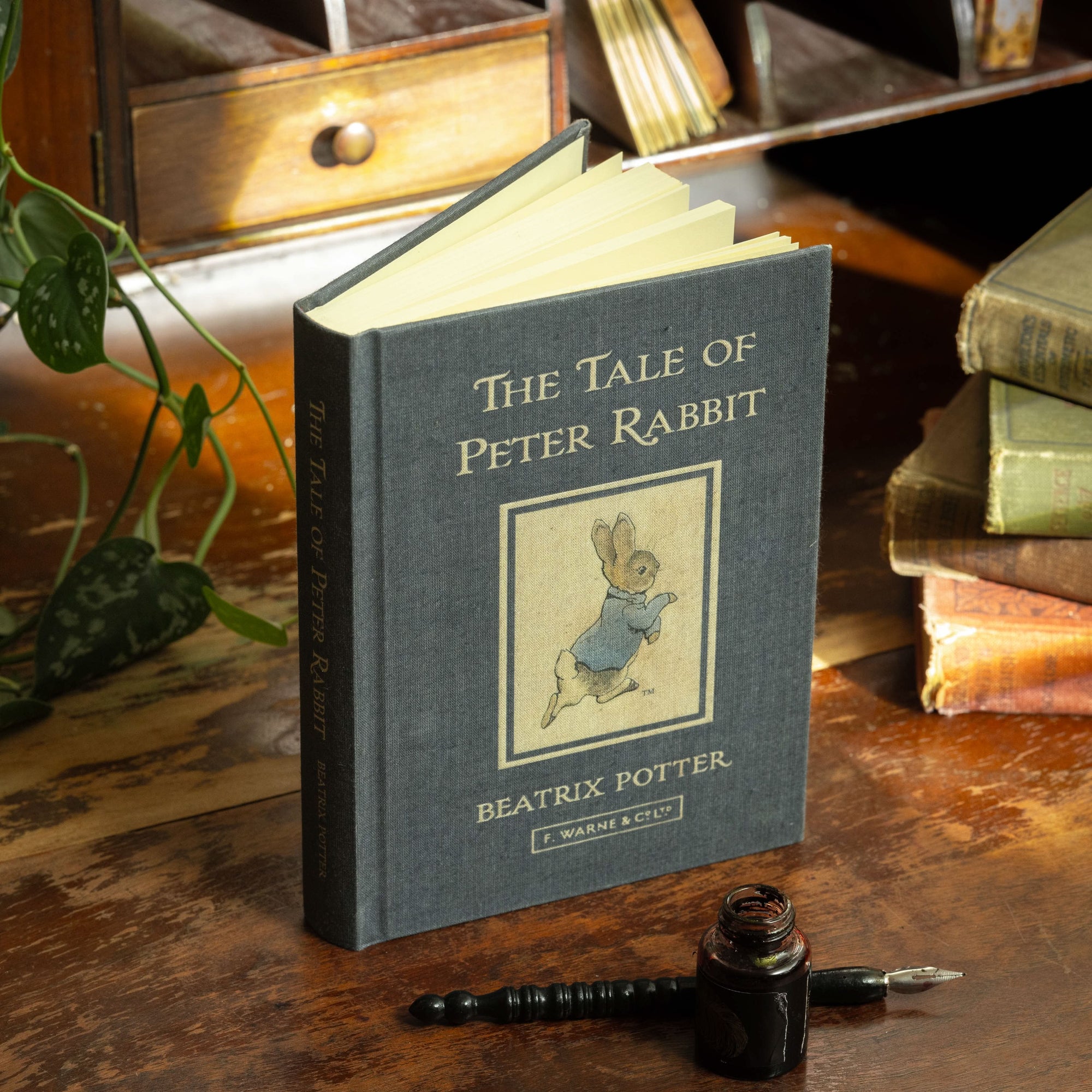 *The Tale of Peter Rabbit by Beatrix Potter 1902 Book Journal - Novelbookstore.co