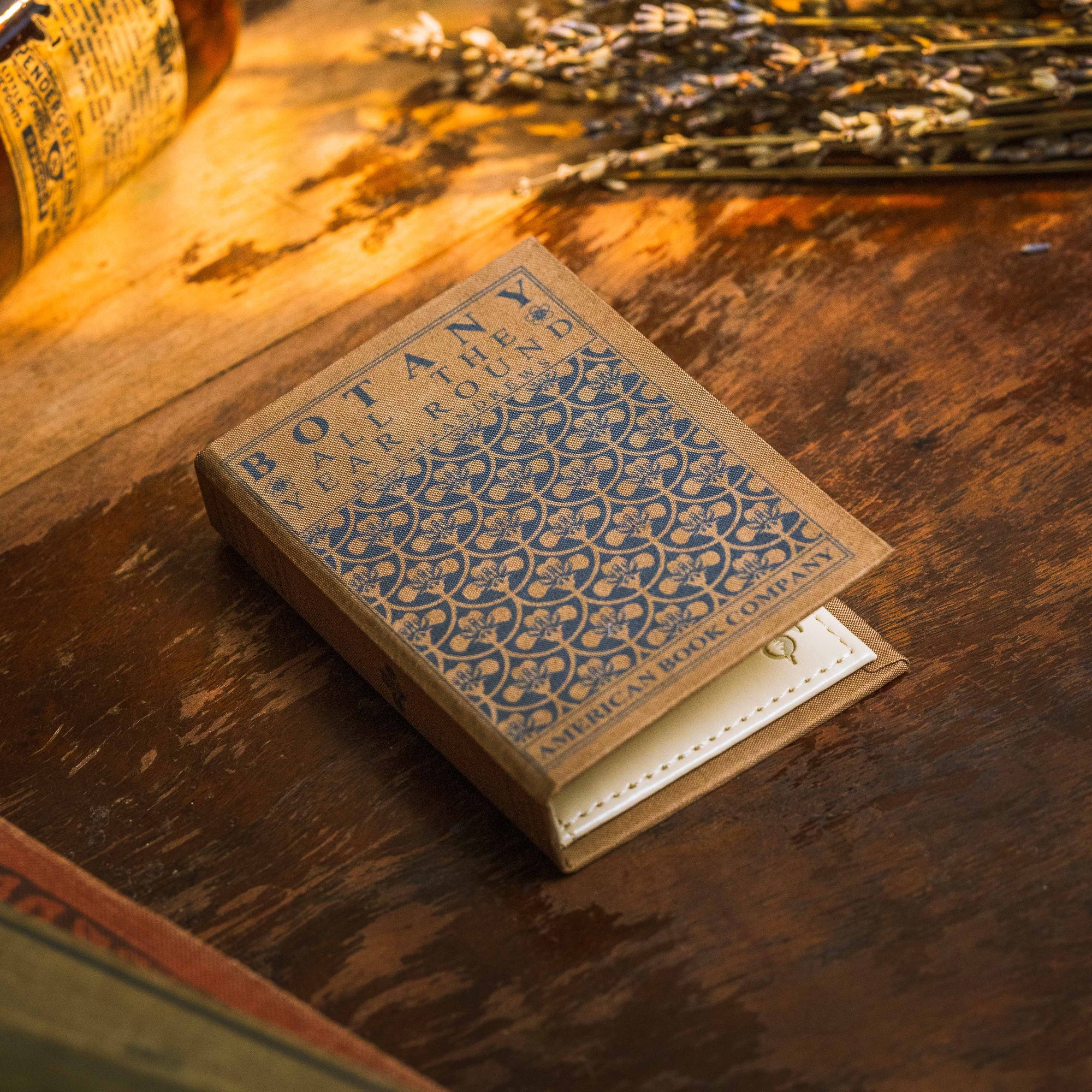 Botany All the Year Round by E. F. Andrews 1903 Book Wallet - Novelbookstore.co