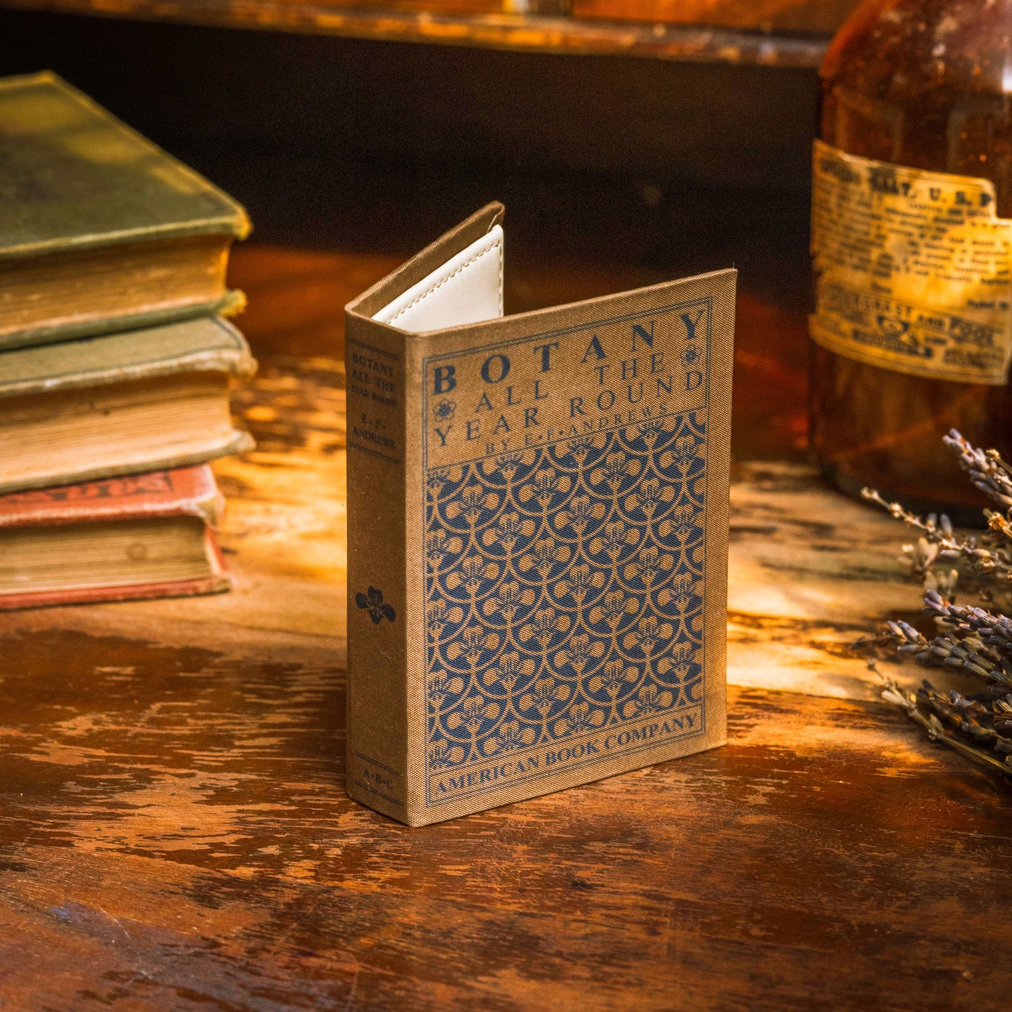 Botany All the Year Round by E. F. Andrews 1903 Book Wallet - Novelbookstore.co