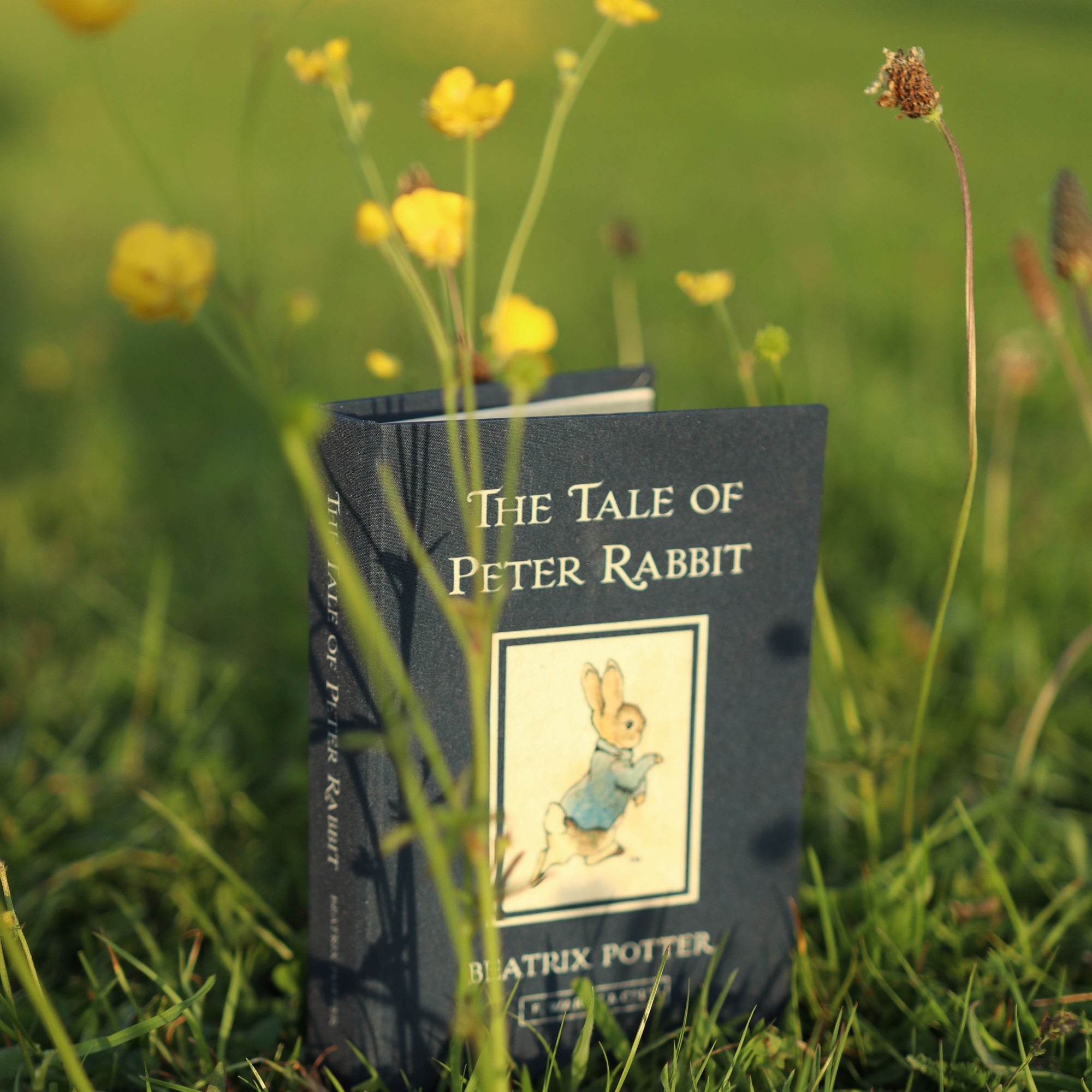 'The Tale of Peter Rabbit' by Beatrix Potter 1902 Passport/Notebook Wallet - Novelbookstore.co