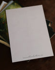 Cats, Kitties, Meows - Notecard / Stationery / Art - 10 Count. - Novelbookstore.co