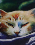 Cats, Kitties, Meows - Notecard / Stationery / Art - 10 Count. - Novelbookstore.co