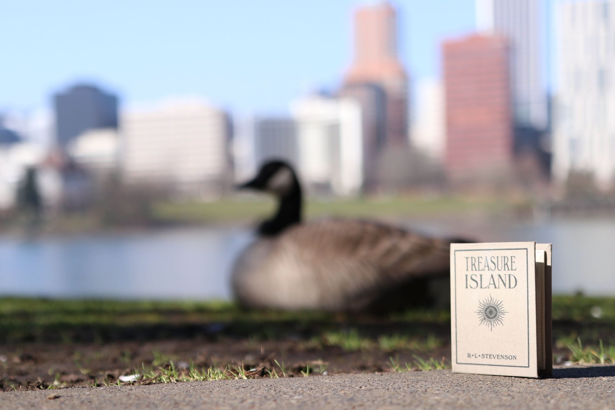 Treasure Island by Robert Louis Stevenson 1883  Book Wallet - Novelbookstore.co