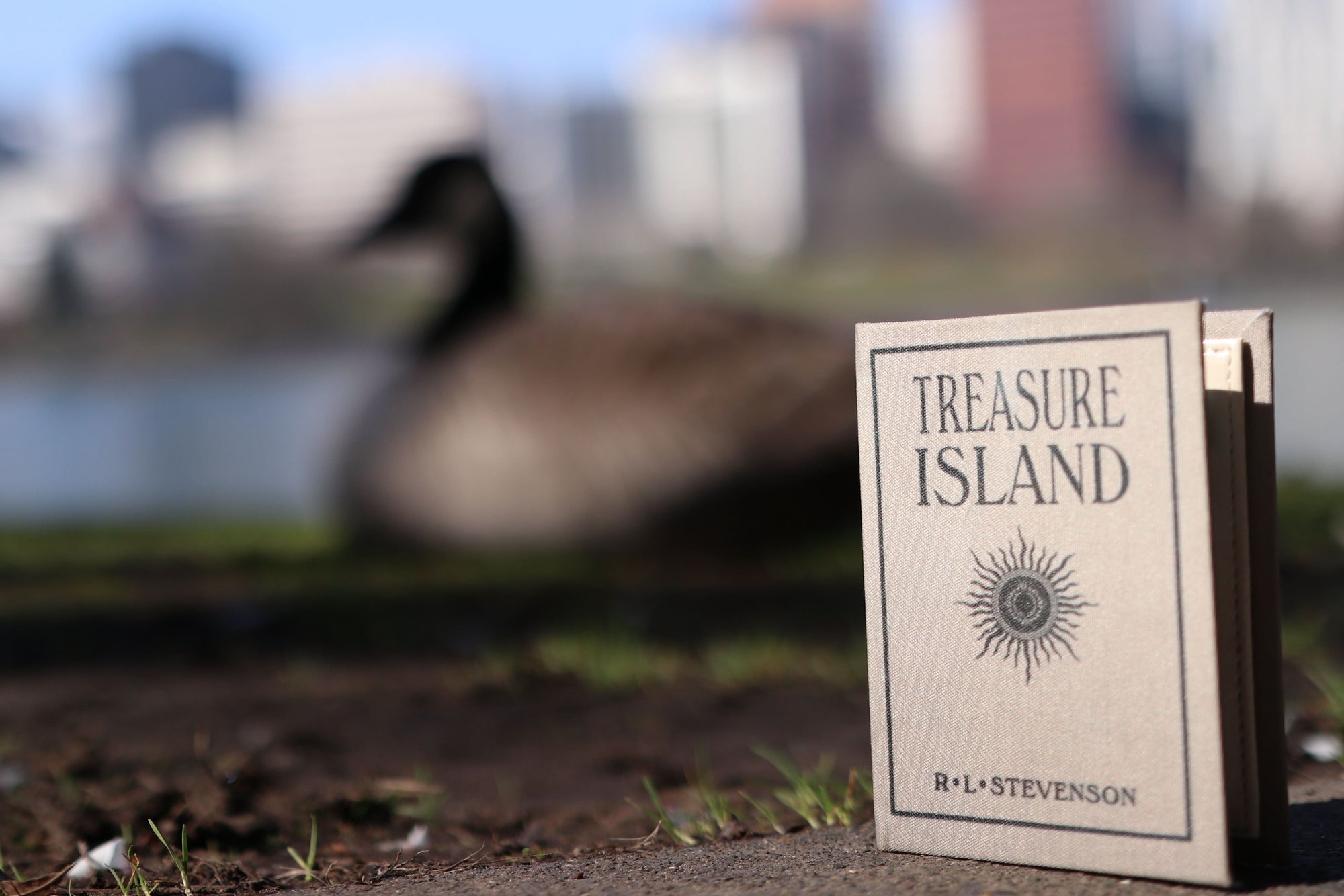 Treasure Island by Robert Louis Stevenson 1883  Book Wallet - Novelbookstore.co