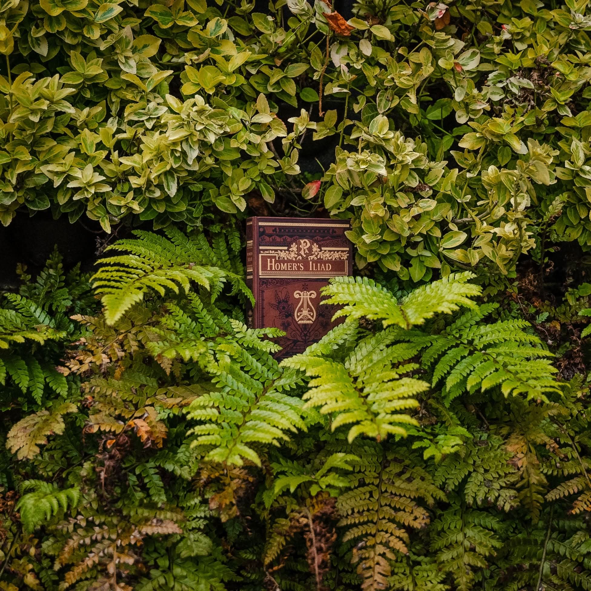 'Iliad' by Homer 8th Century BC Passport/Notebook Wallet - Novelbookstore.co