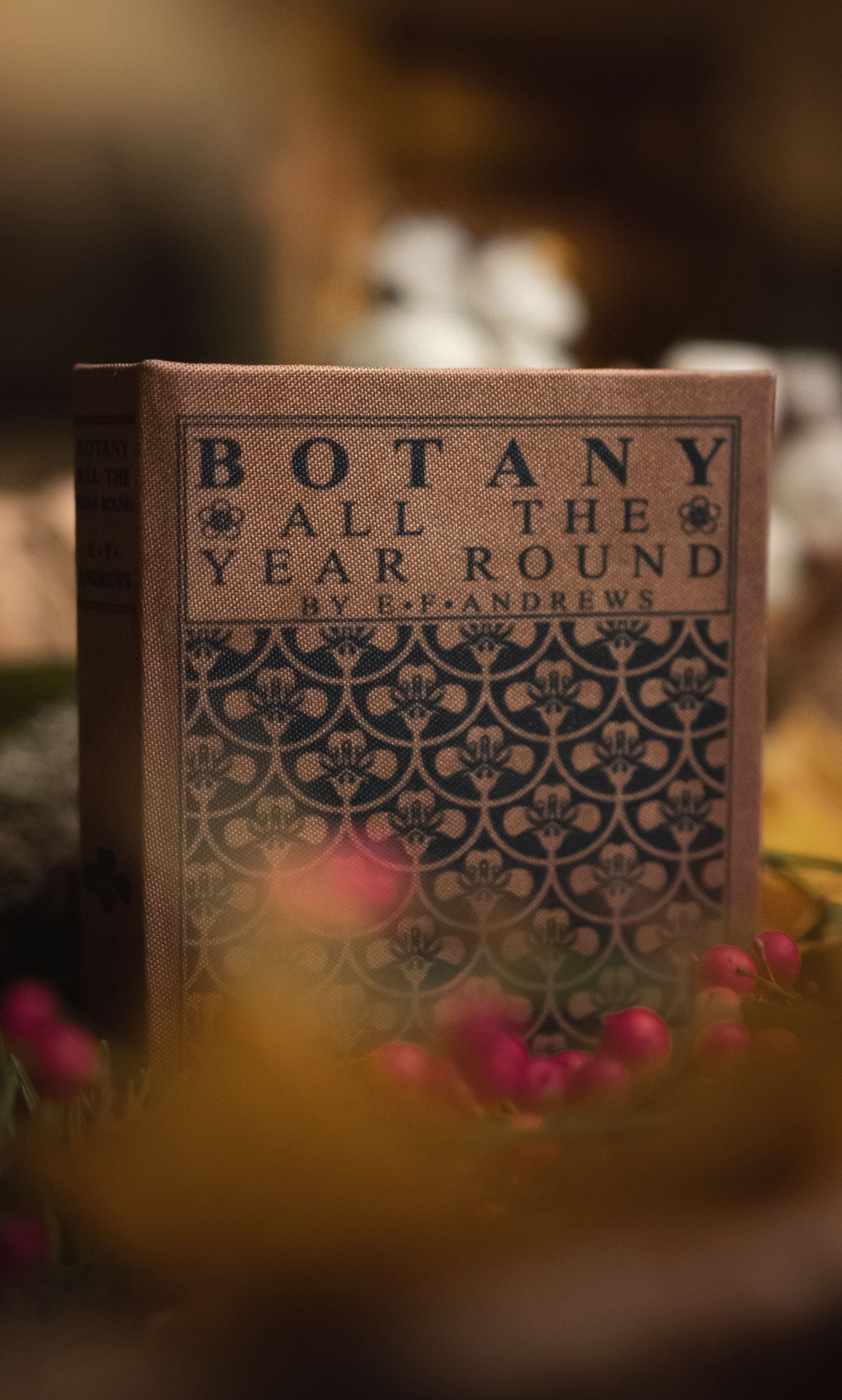 Botany All the Year Round by E. F. Andrews 1903 Book Wallet - Novelbookstore.co