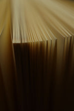 Load image into Gallery viewer, *Grimm&#39;s Fairy Tales by Jacob &amp; Wilhelm Grimm 1812 Book Journal
