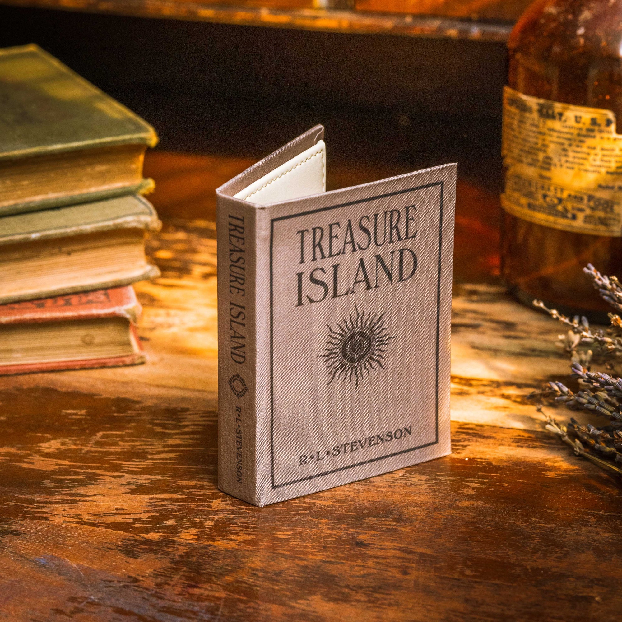 Treasure Island by Robert Louis Stevenson 1883  Book Wallet