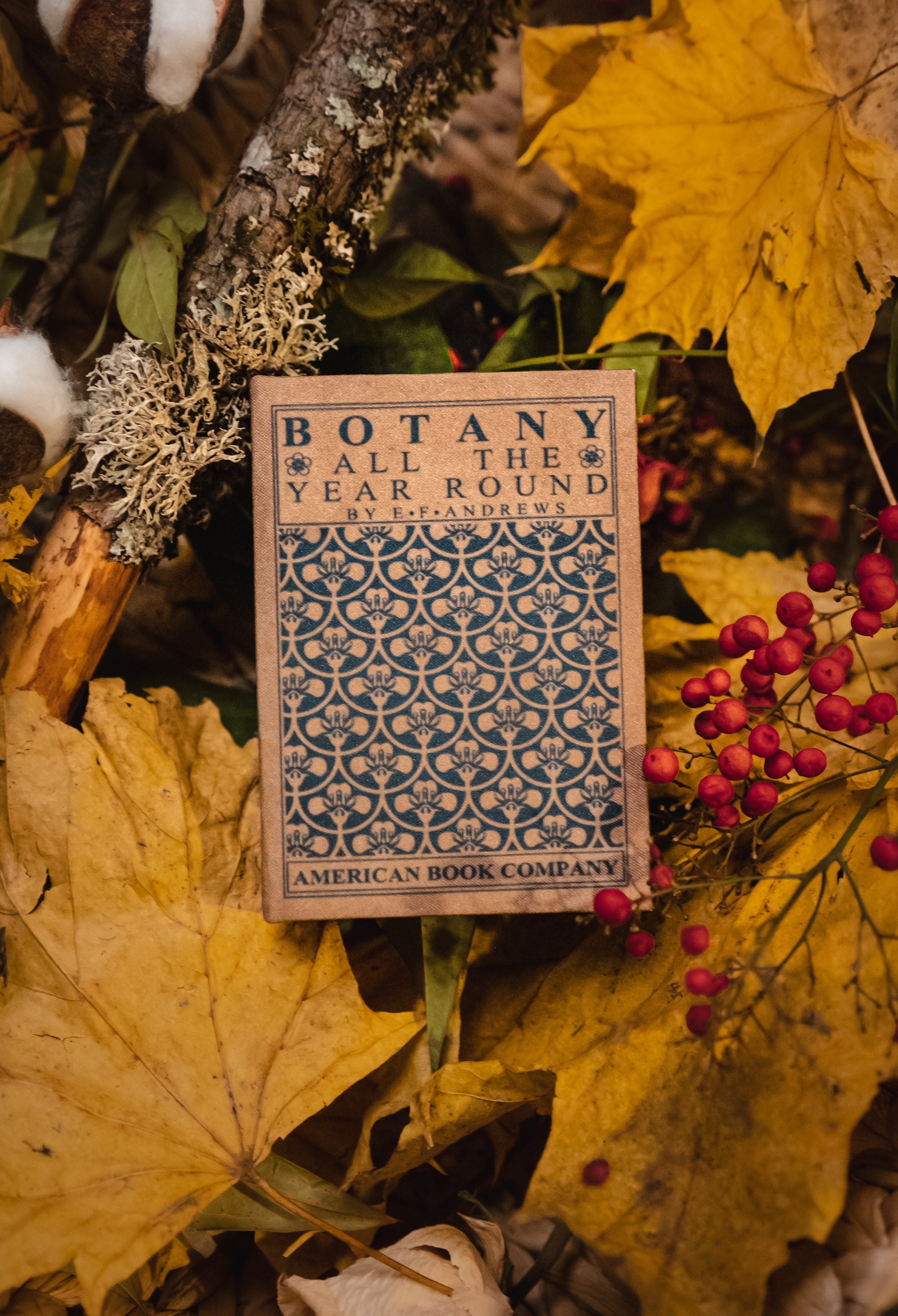 Botany All the Year Round by E. F. Andrews 1903 Book Wallet