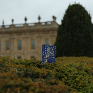'Pride & Prejudice' (Peacock Edition) by Jane Austen 1813