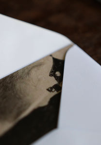 The War of the Worlds Collection - Notecard / Stationery / Art - 10 Count.