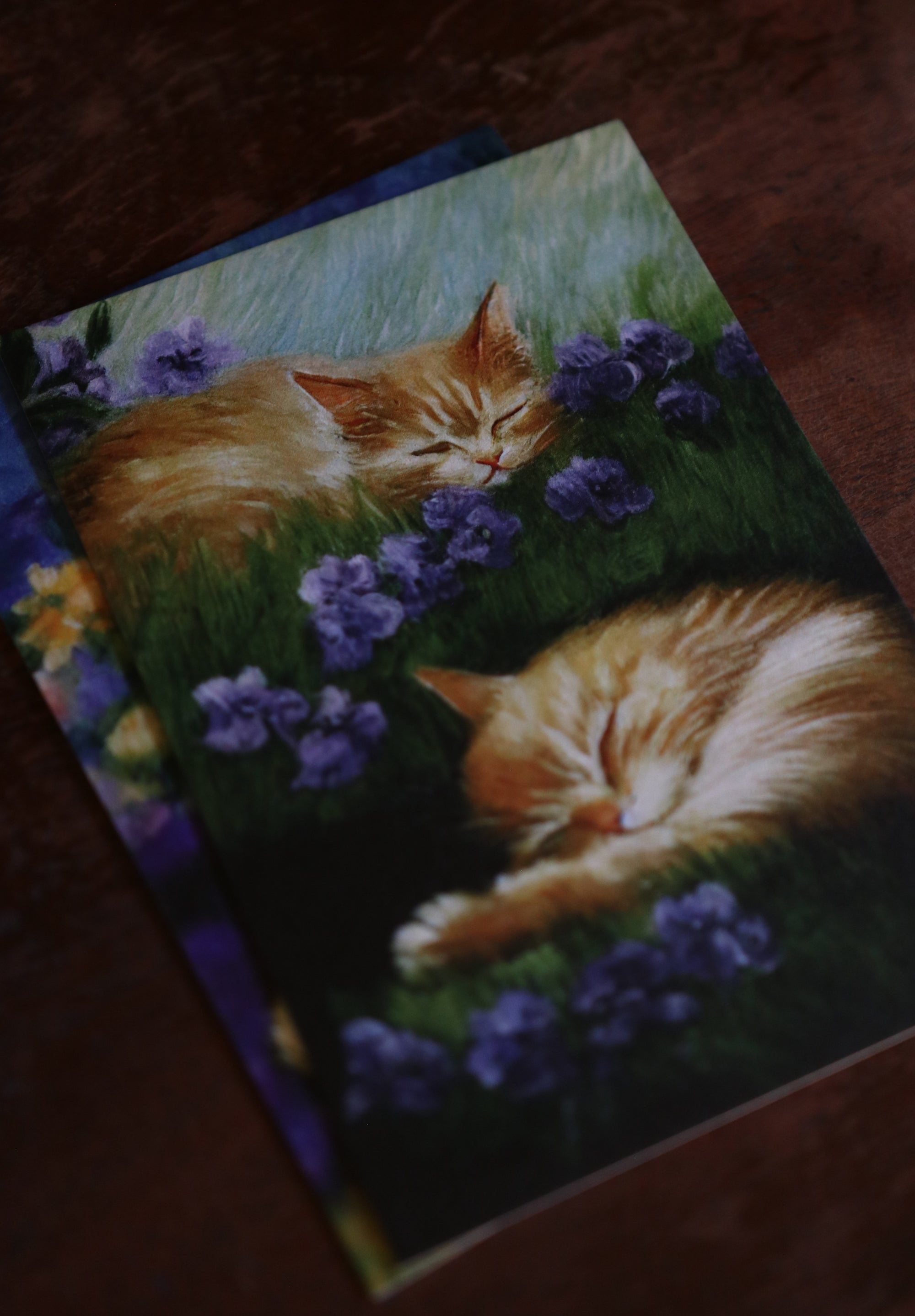 Cats, Kitties, Meows - Notecard / Stationery / Art - 10 Count.