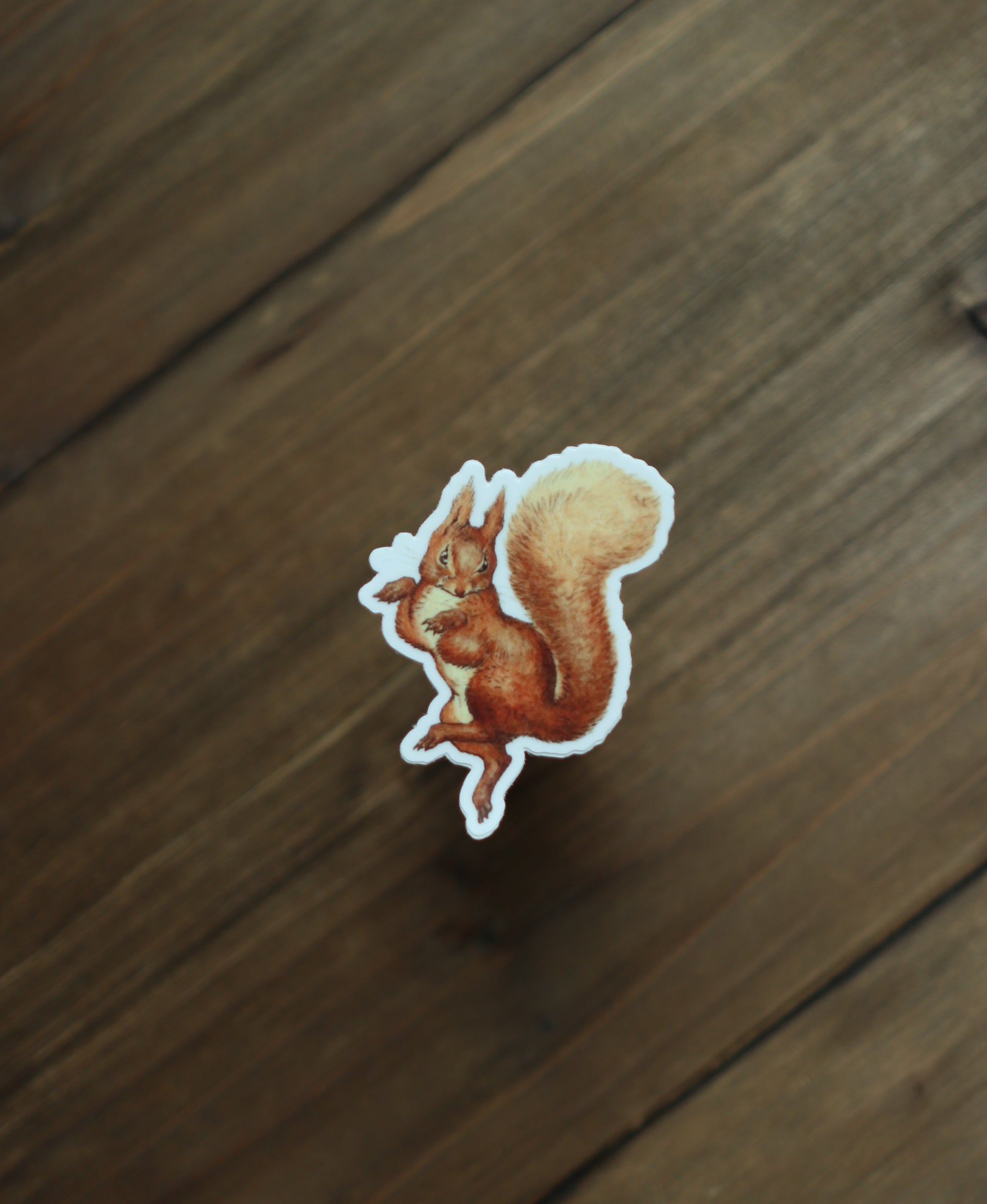 Sticker - Squirrel Nutkin