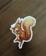 Load image into Gallery viewer, Sticker - Squirrel Nutkin
